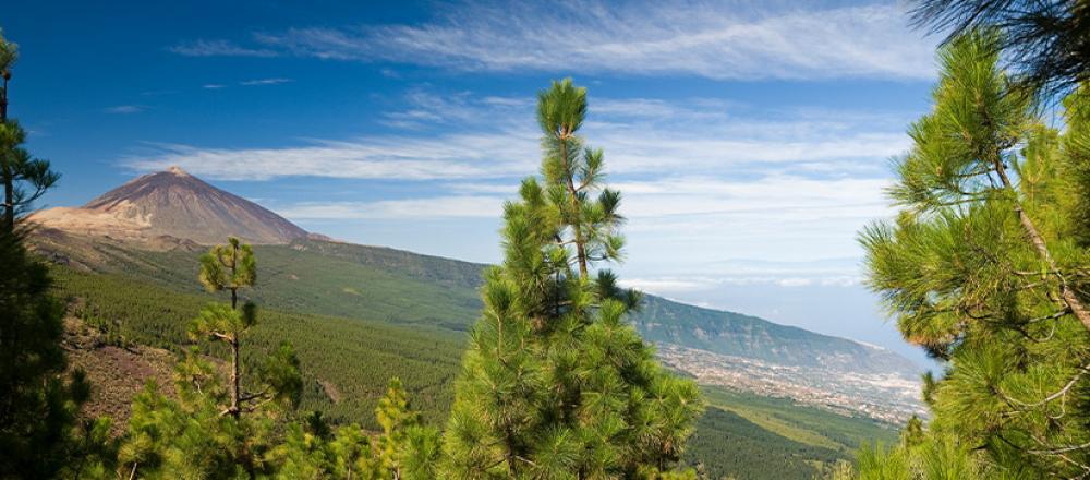 Teide-5