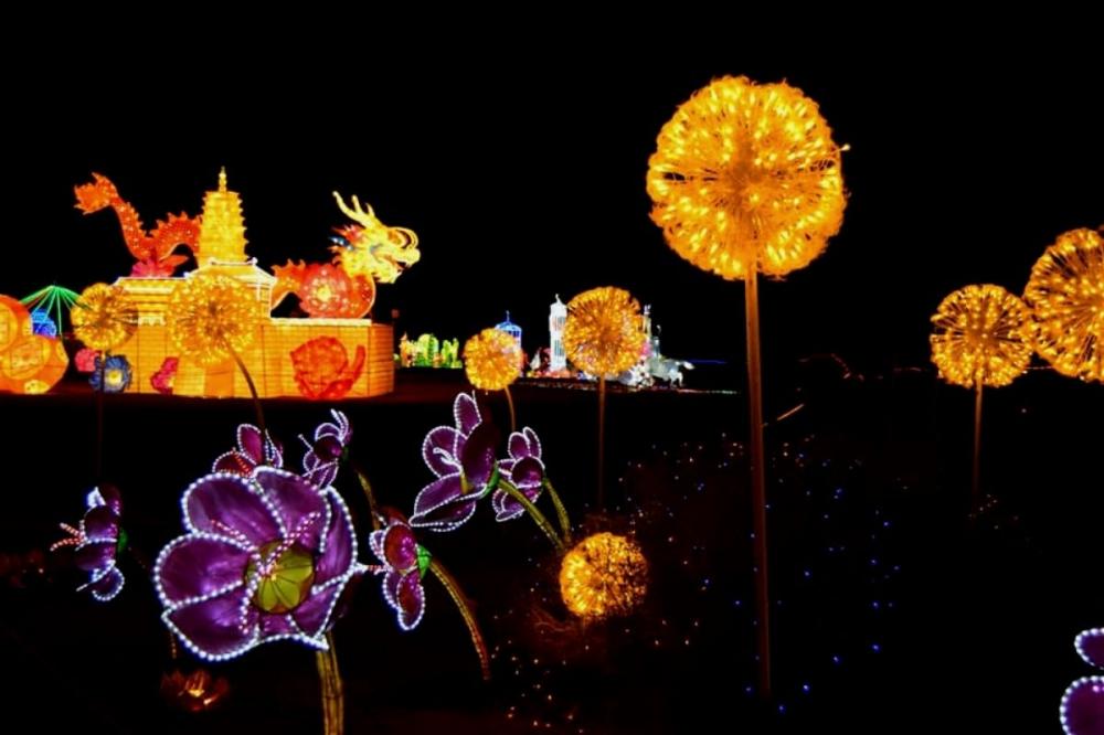 Great Chinese Lantern World light-show (4)
