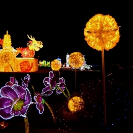 Great Chinese Lantern World light-show (4)