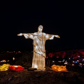 Great Chinese Lantern World light-show (9)