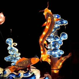 Great Chinese Lantern World light-show (3)