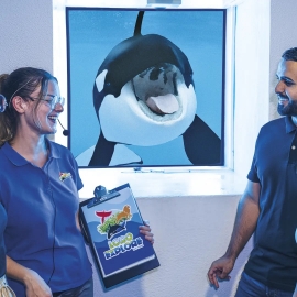 loro-explore-orcas-2