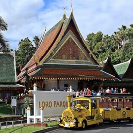 lp-1